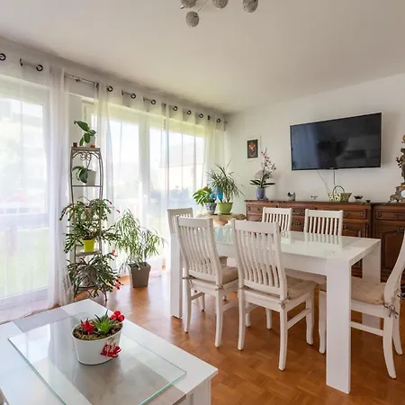 Apartment Le Paradis Botanique - Bel Appt A 30min De Paris Le Perreux-Sur-Marne